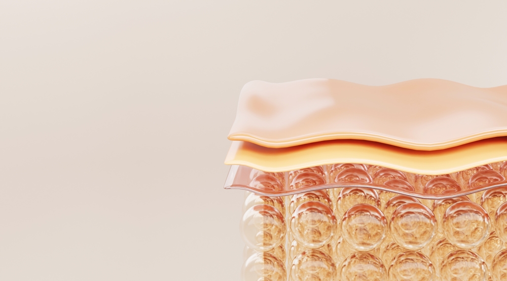 ระบบผิวหนังมีอะไรบ้าง ศึกษาโครงสร้างให้ละเอียด